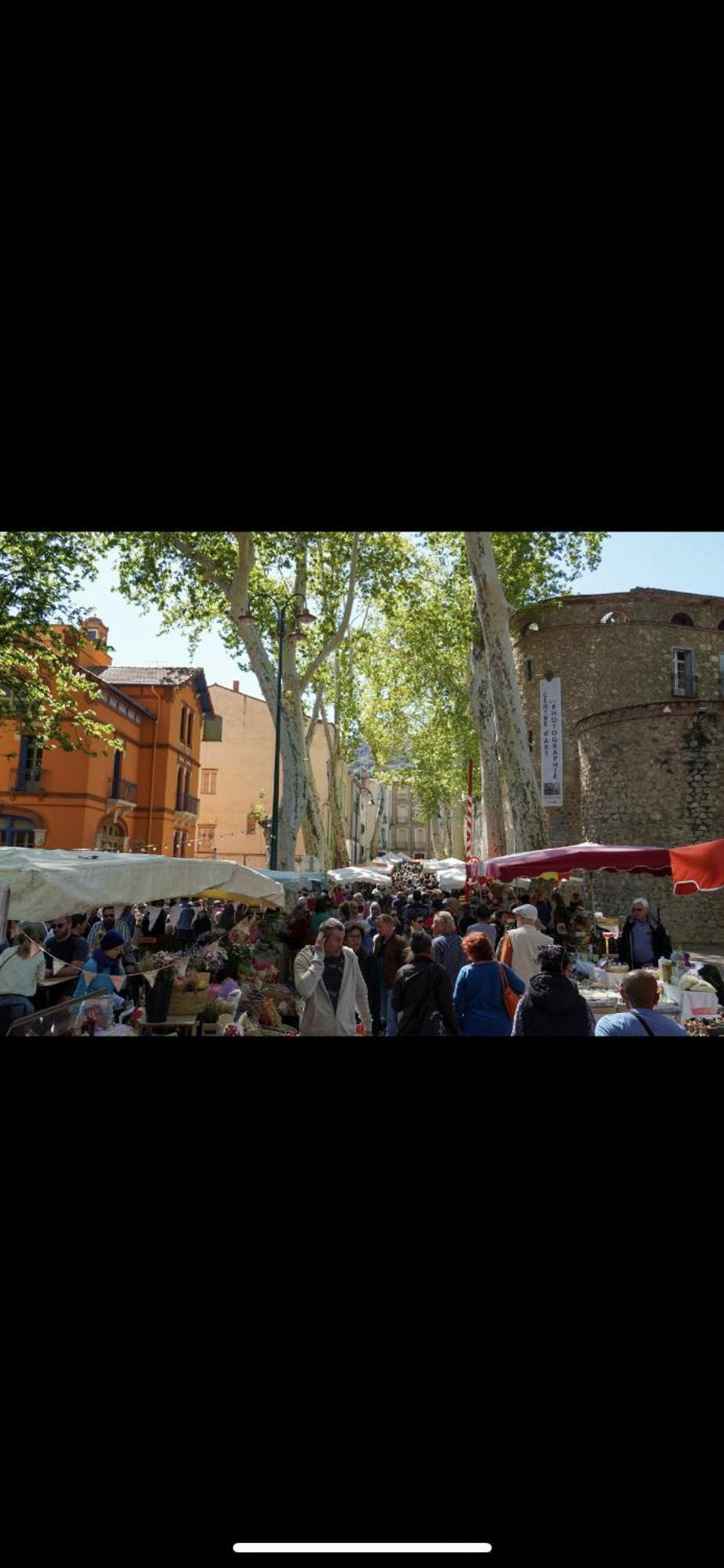 Maison De Vacances Le Bosquet Céret Eksteriør billede